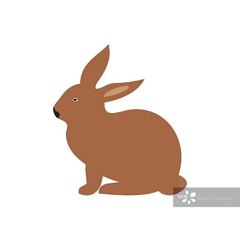 白色背景上的棕色兔子图片素材