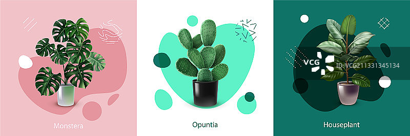 逼真室内盆栽设计概念图片素材