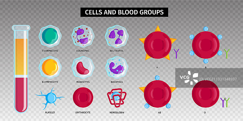 血型细胞透明集合图片素材