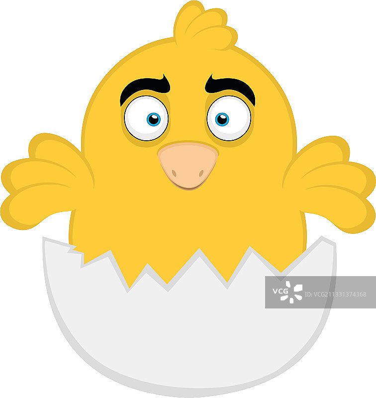 小鸡图片素材