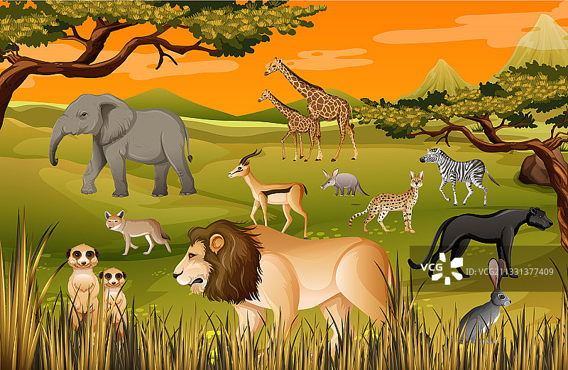 森林场景中的非洲野生动物群图片素材