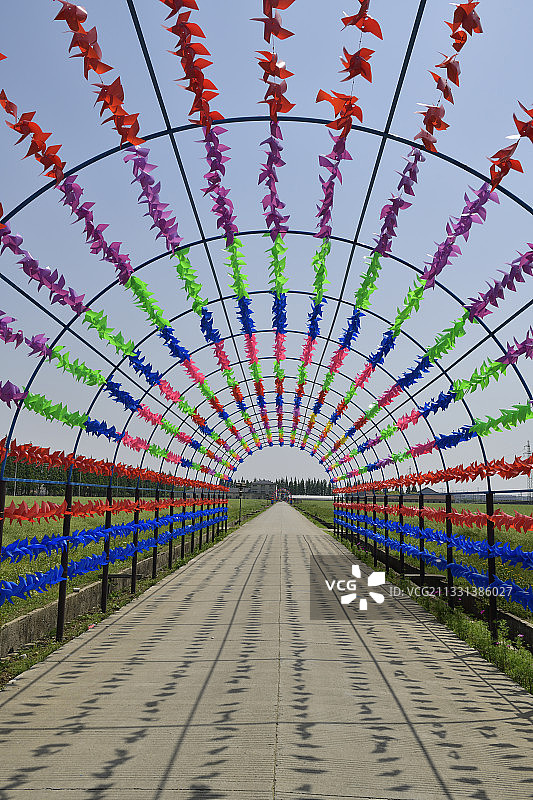 田野中的风车长廊图片素材