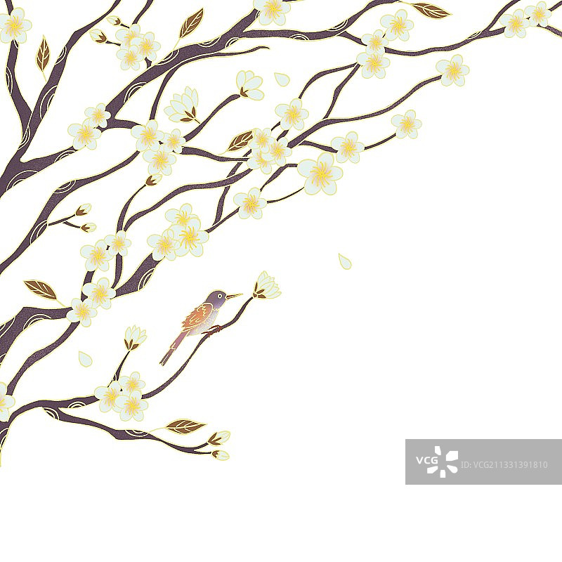 插画,梅花,梅花树,鸟类,树枝,立冬,节气,小寒,大寒,冬至图片素材