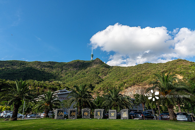 深圳仙桐体育公园-小梧桐电视塔图片素材