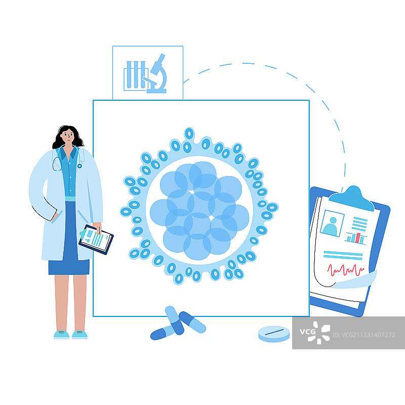 桑葚胚解剖概念图片素材