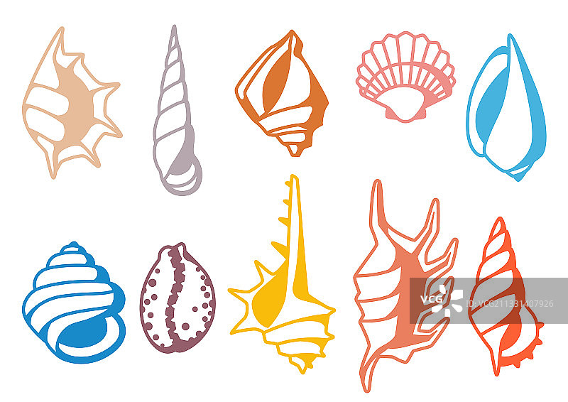 贝壳合集图片素材