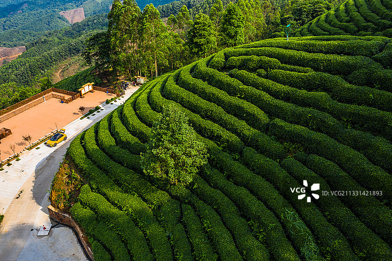 DJI_0338-0340HDR昭平县昭平镇南山茶海风光图片素材