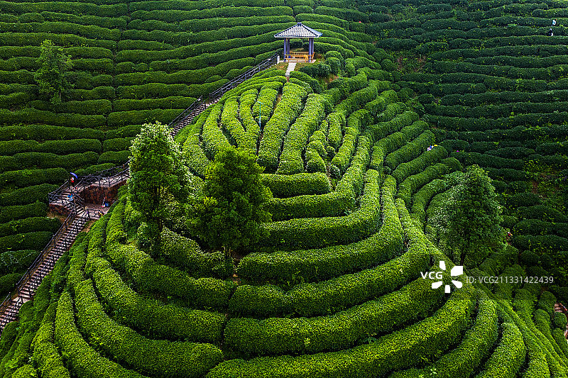 DJI_0347-0349HDR昭平县昭平镇南山茶海风光图片素材