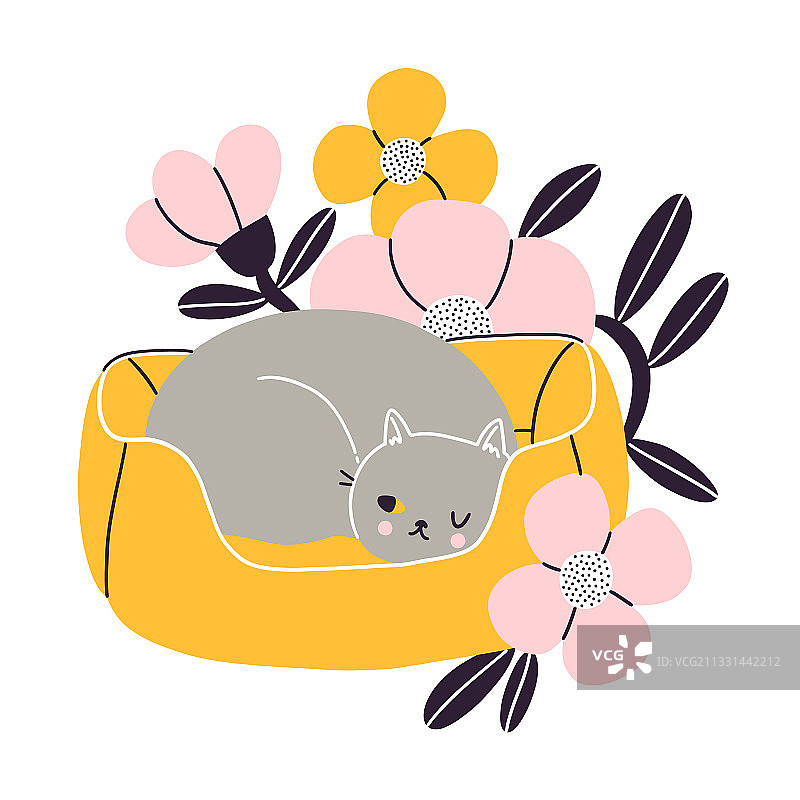 灰色英短猫在角落小憩，鲜花相伴图片素材