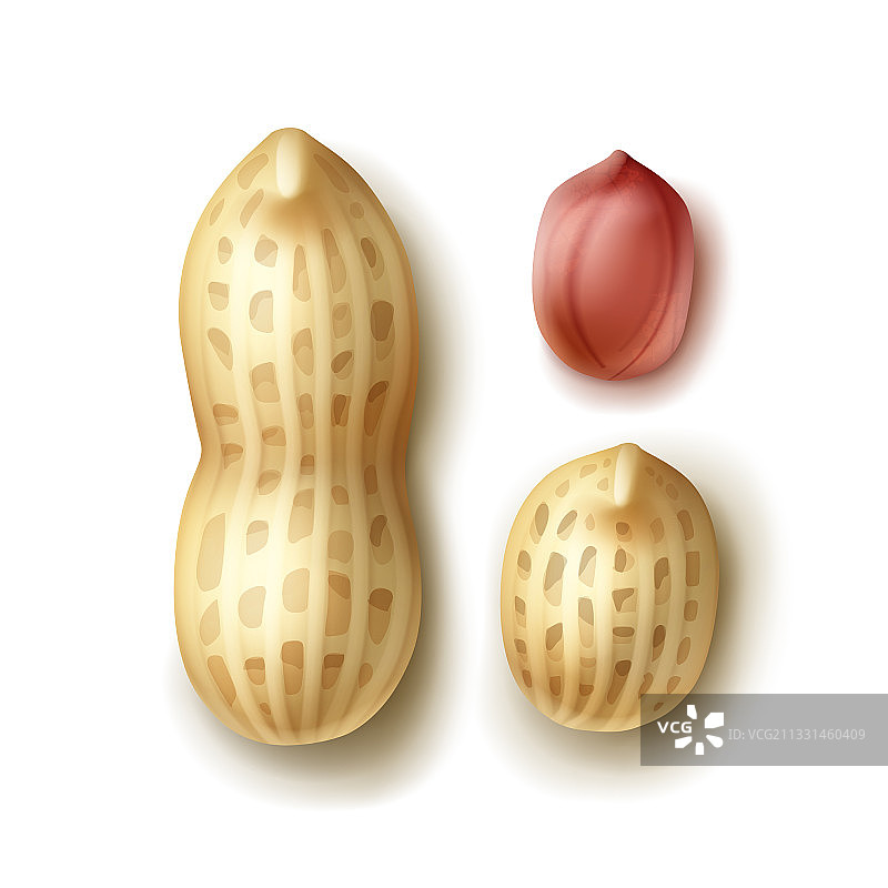 花生套装图片素材