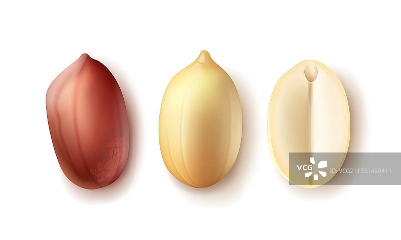 已打开的花生图片素材