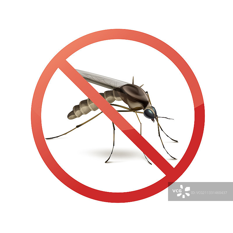 蚊子身上的停止标志图片素材