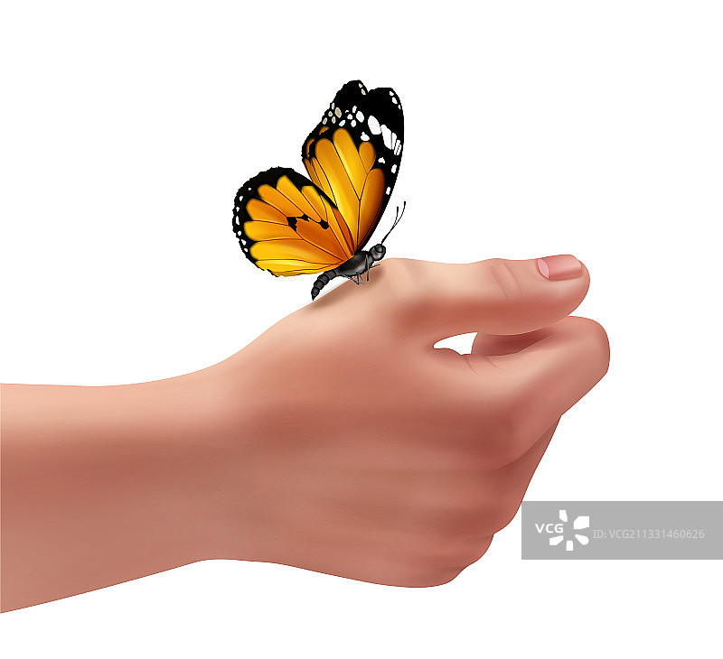 手上的蝴蝶图片素材