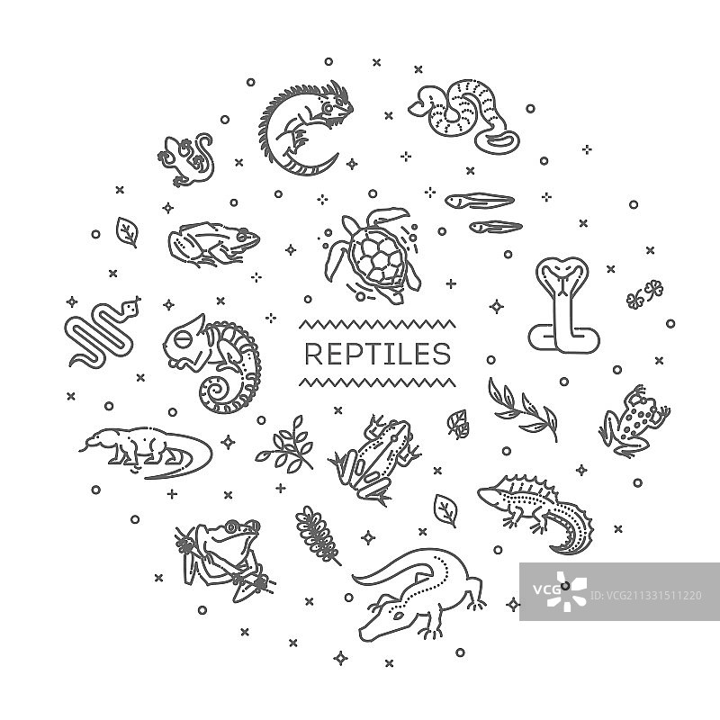 爬行动物和两栖动物图标线条设计图片素材