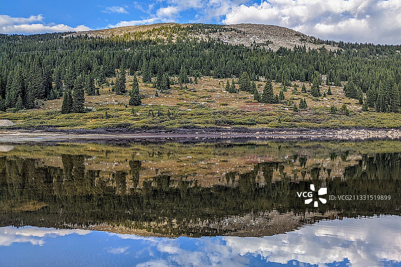 美国白河国家森林的湖畔树木的迷人景色图片素材