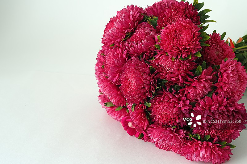 白色背景下的粉色花朵特写图片素材