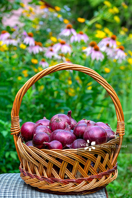 篮子里新鲜葡萄的特写图片素材