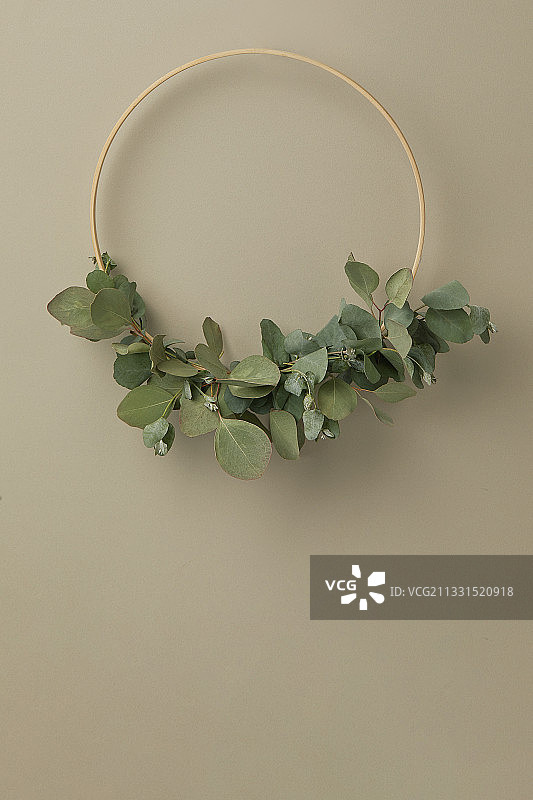 静物、植物、相框、装饰图片素材