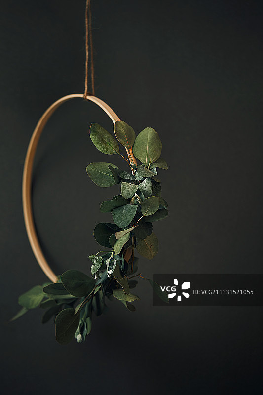 静物、植物、相框、装饰图片素材