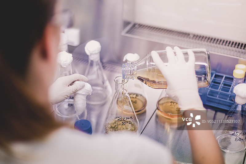 在实验室工作的科学家的腰部图片素材