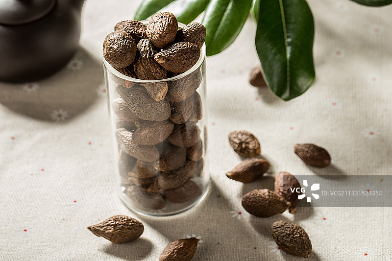 胖大海图片素材