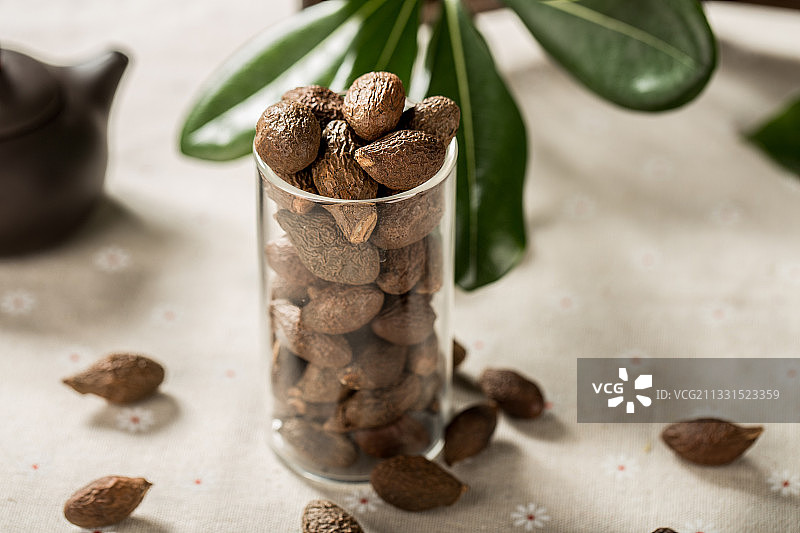 胖大海图片素材