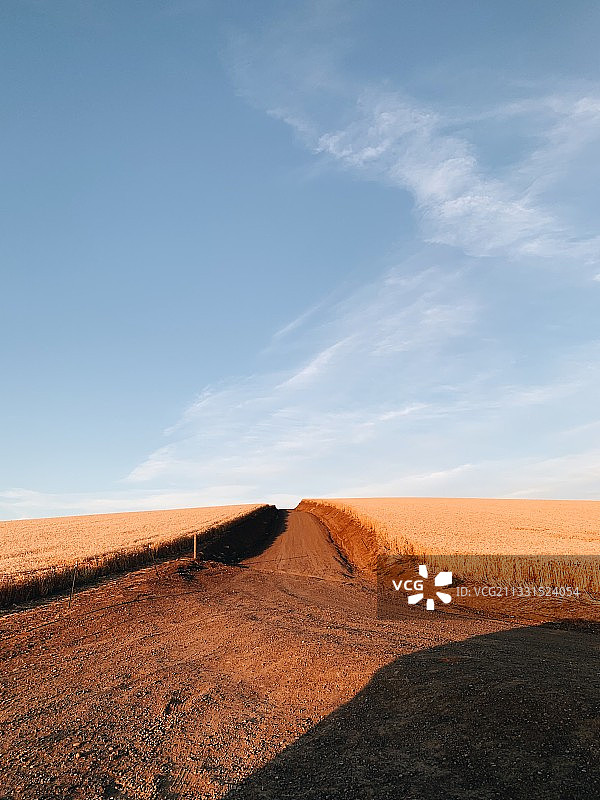 美国华盛顿州瓦拉瓦拉县的田园风光图片素材