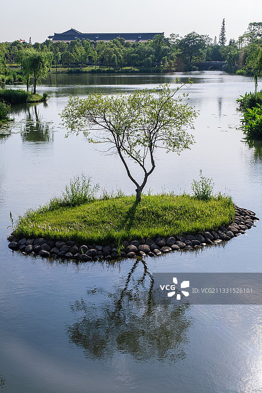 东台西溪湿地景区湖中小岛与树图片素材
