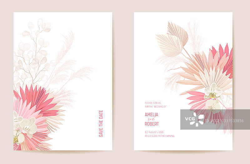 婚礼装饰：勿忘我、兰花、蒲苇图片素材