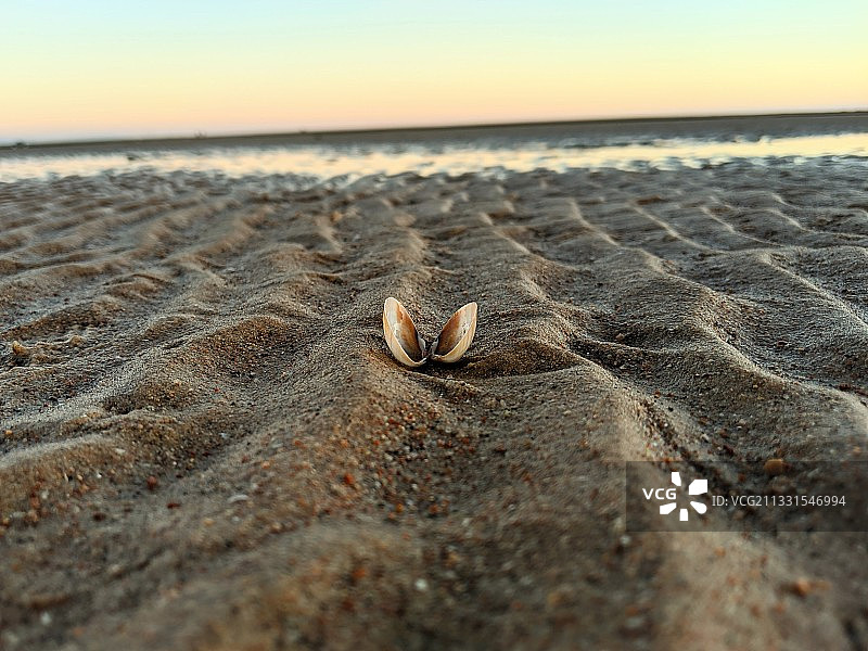 日落时分埃及南西奈省达哈卜海滩沙滩的特写图片素材