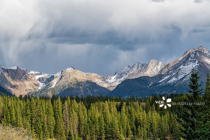 美国科罗拉多州松树林全景图片素材