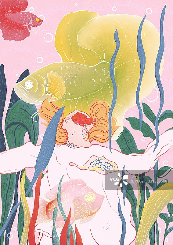 月亮鱼图片素材