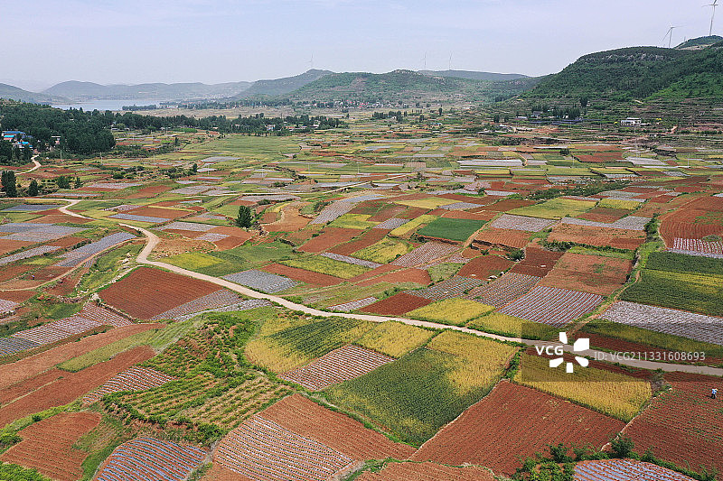 山东临沂柱子山流域夏日田园风光美图片素材