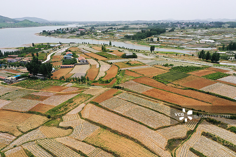 沂蒙山乡夏日梯田美如画图片素材
