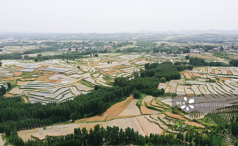 沂蒙山乡夏日梯田美如画图片素材