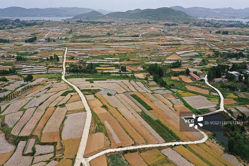 沂蒙山乡夏日梯田美如画图片素材