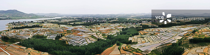 沂蒙山乡夏日梯田美如画图片素材