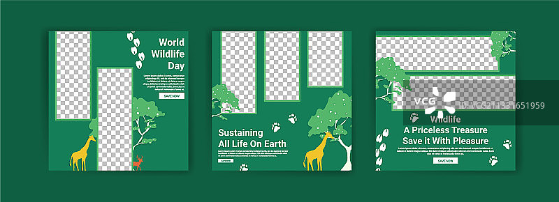 世界野生动植物日社交媒体模板图片素材