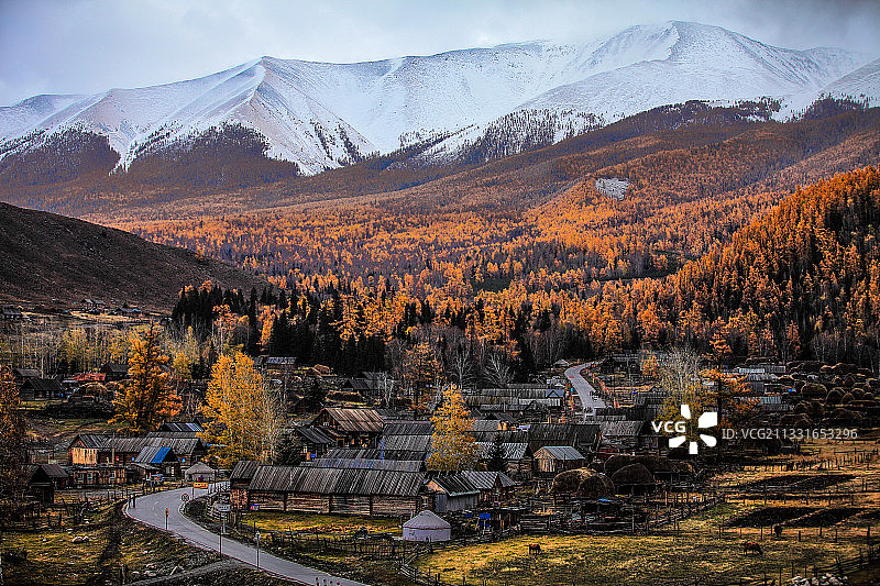 小村白哈巴图片素材