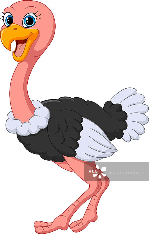 卡通滑稽鸵鸟白色背景图片素材