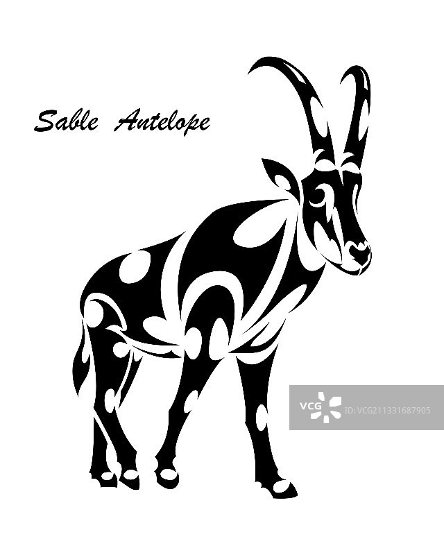 黑貂羚羊线条艺术图片素材