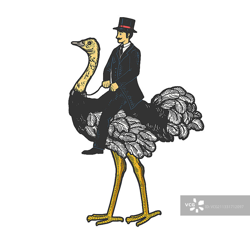 绅士骑鸵鸟素描图片素材