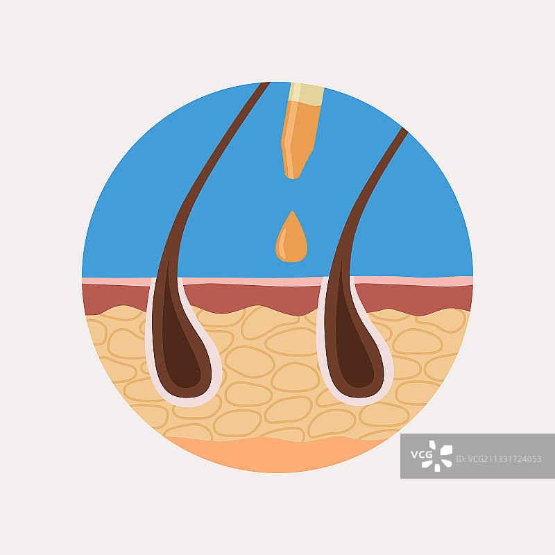 皮肤科头发护理标志扁平设计图片素材
