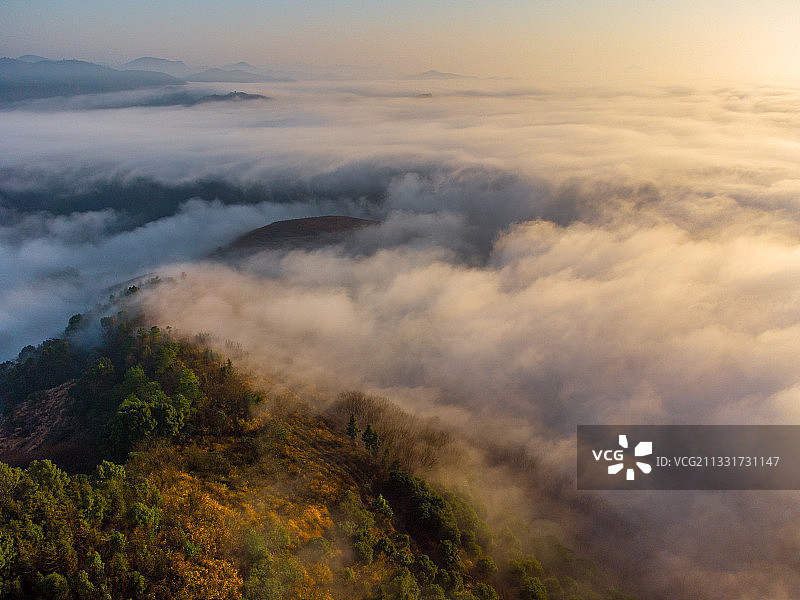 金色阳光照耀下的日出云海图片素材