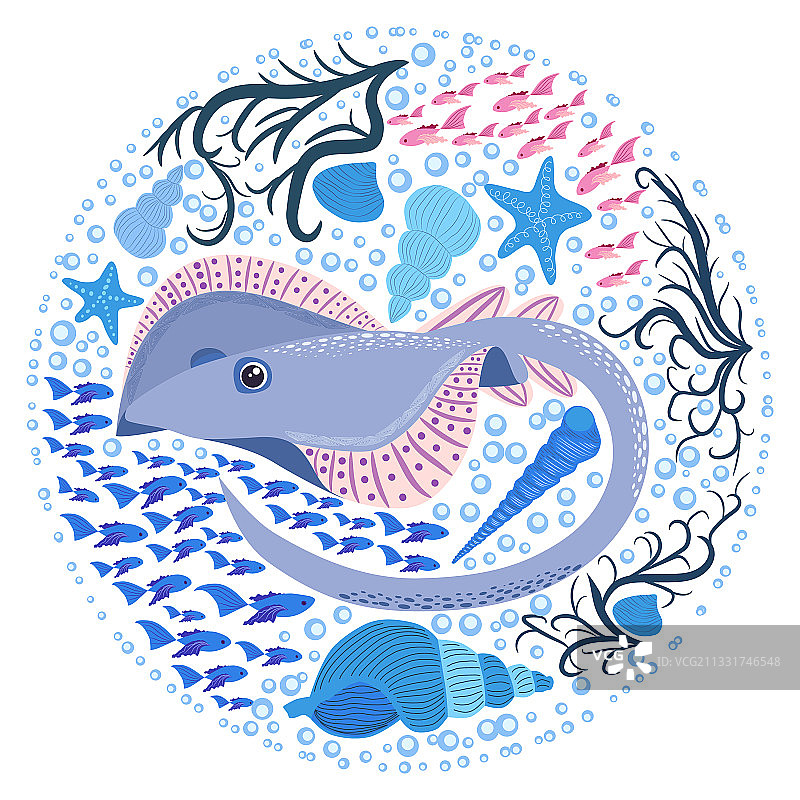 鱼头放大海洋动物野生生物图片素材