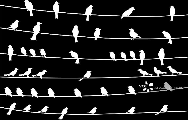 电线上的鸟与白色轮廓图片素材