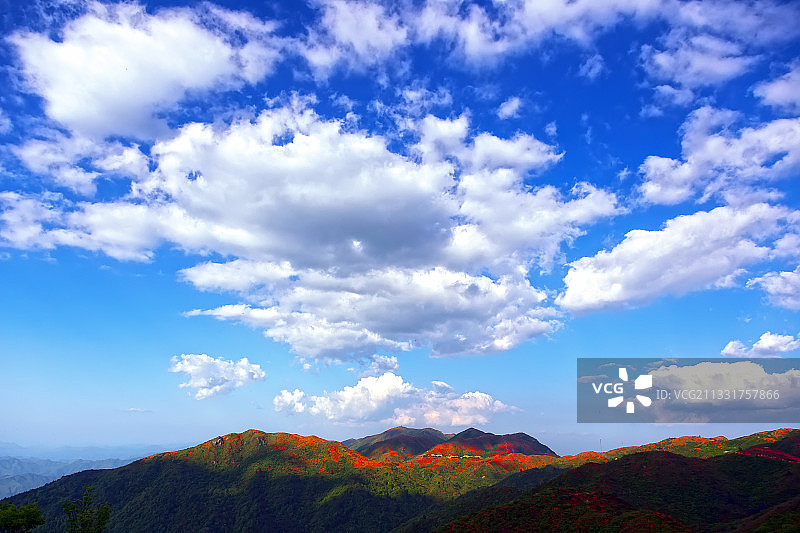 七星岭上杜鹃红图片素材