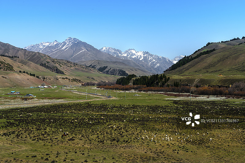 巩乃斯3阿尔先沟图片素材