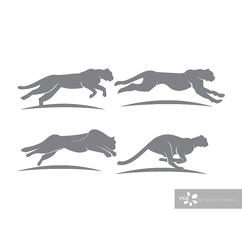 猎豹标志设计模板图片素材