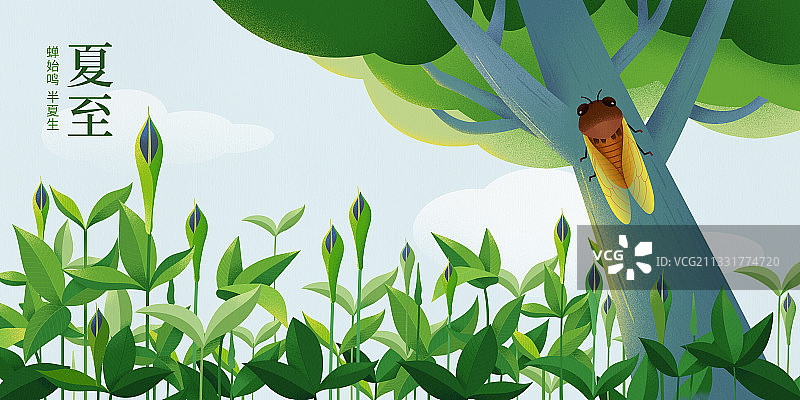 二十四节气夏至横版带文字图片素材